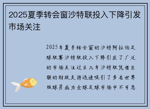 2025夏季转会窗沙特联投入下降引发市场关注 2025夏季转会窗沙特联投入下降引发市场关注